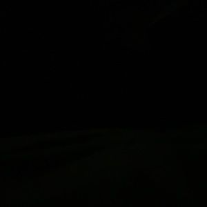 Meet your Posher, Jayonia